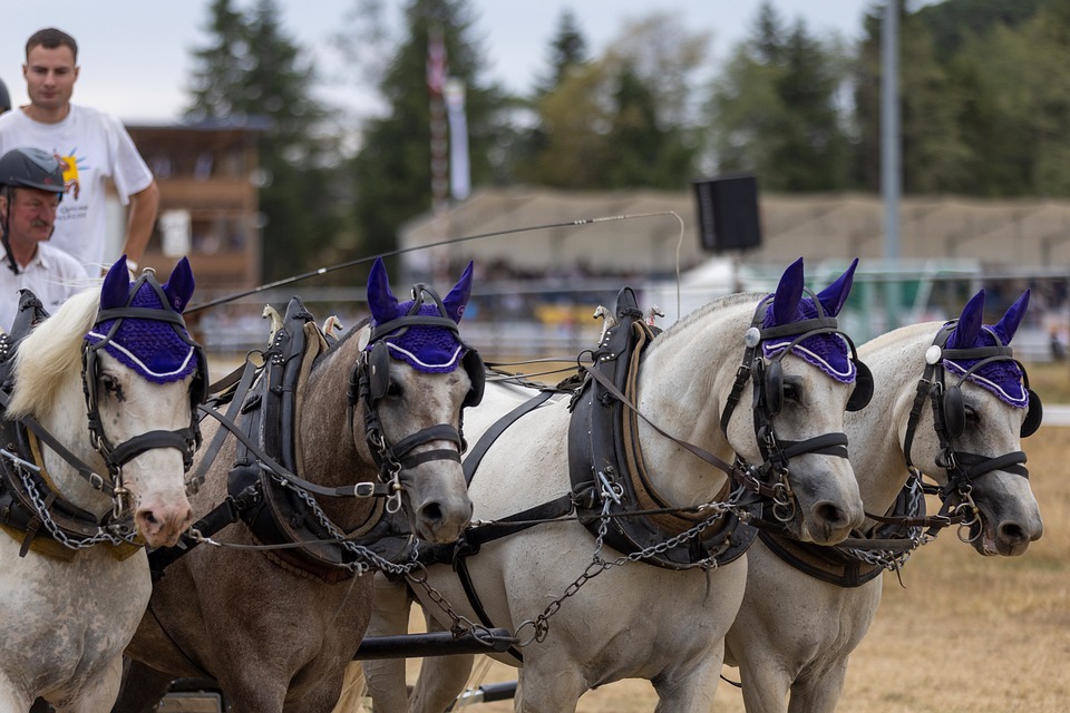 What is Health Insurance & Who Should Buy?