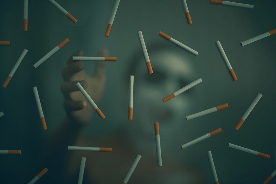 What Is Individual Travel Insurance Policy? Coverage | Plans