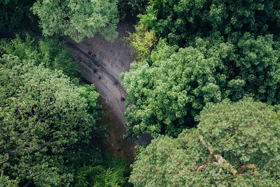 Advance Your Career at Siemens as a Factory Cost Accountant – Apply Now!