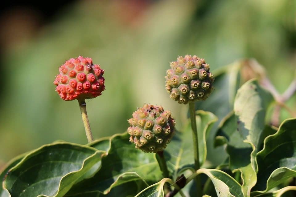 Associate Opportunities at Amazon - Ideal for Candidates Interested in Quality Assurance
